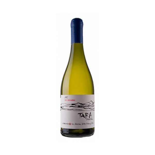 Vang Chile Tara Atacama Chardonnay