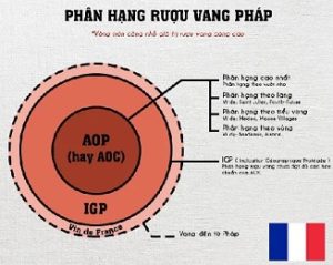 Cap Do Ruou Vang Phap TV
